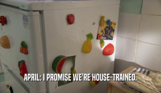 APRIL: I PROMISE WE'RE HOUSE-TRAINED.  