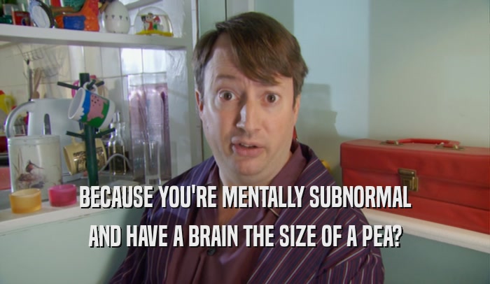BECAUSE YOU'RE MENTALLY SUBNORMAL AND HAVE A BRAIN THE SIZE OF A PEA? 