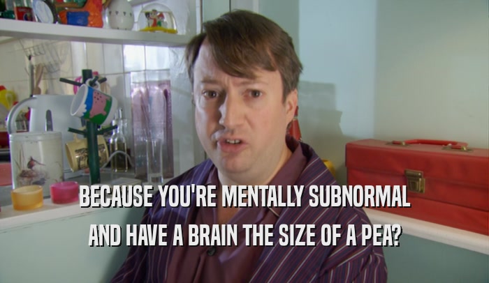 BECAUSE YOU'RE MENTALLY SUBNORMAL AND HAVE A BRAIN THE SIZE OF A PEA? 