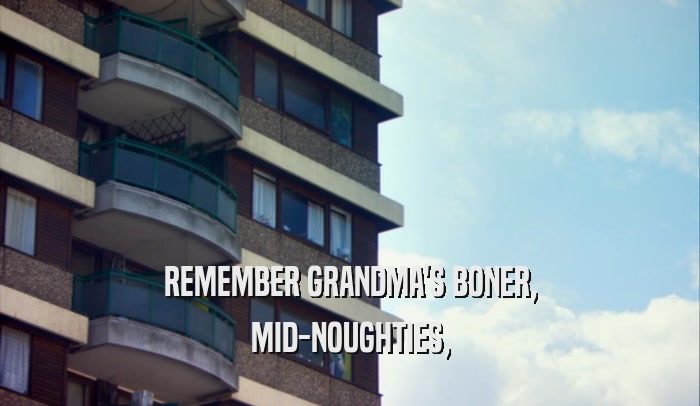 REMEMBER GRANDMA'S BONER, MID-NOUGHTIES, 