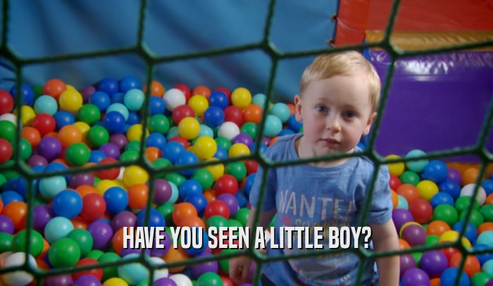 HAVE YOU SEEN A LITTLE BOY?  