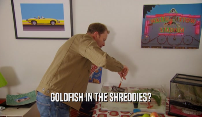 GOLDFISH IN THE SHREDDIES?  