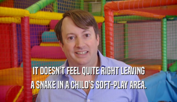 IT DOESN'T FEEL QUITE RIGHT LEAVING
 A SNAKE IN A CHILD'S SOFT-PLAY AREA.
 