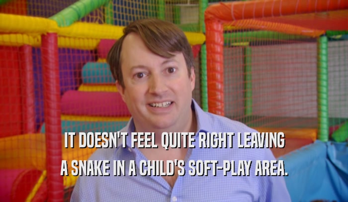 IT DOESN'T FEEL QUITE RIGHT LEAVING A SNAKE IN A CHILD'S SOFT-PLAY AREA. 