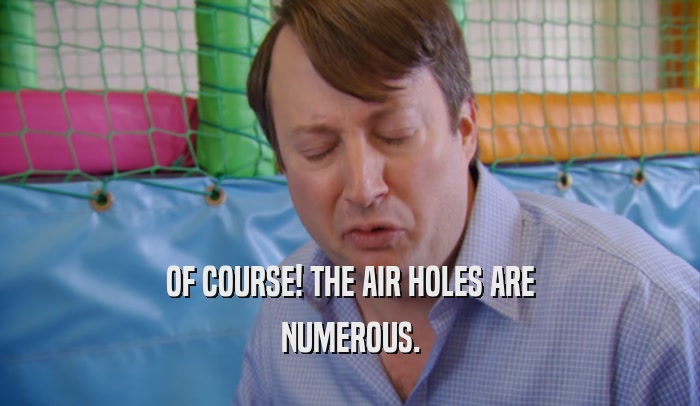 OF COURSE! THE AIR HOLES ARE NUMEROUS. 