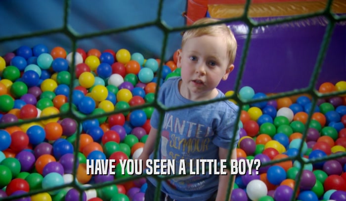 HAVE YOU SEEN A LITTLE BOY?  