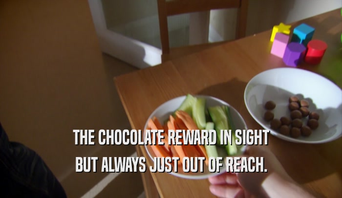 THE CHOCOLATE REWARD IN SIGHT BUT ALWAYS JUST OUT OF REACH. 