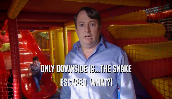 ONLY DOWNSIDE IS...THE SNAKE ESCAPED. WHAT?! 