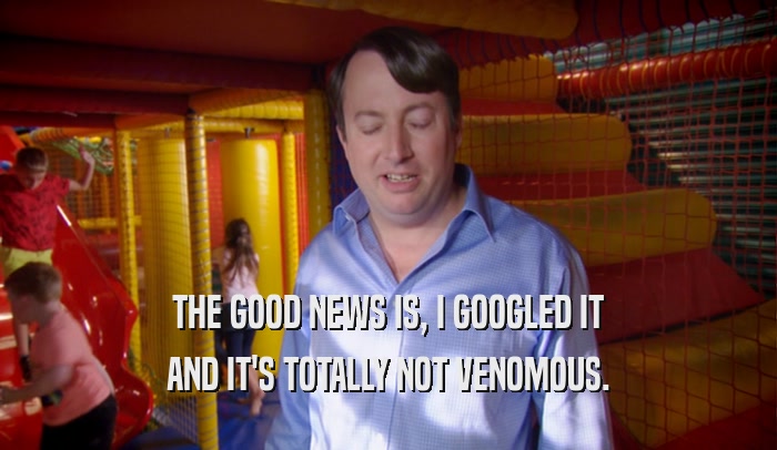 THE GOOD NEWS IS, I GOOGLED IT AND IT'S TOTALLY NOT VENOMOUS. 