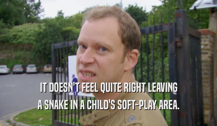 IT DOESN'T FEEL QUITE RIGHT LEAVING A SNAKE IN A CHILD'S SOFT-PLAY AREA. 