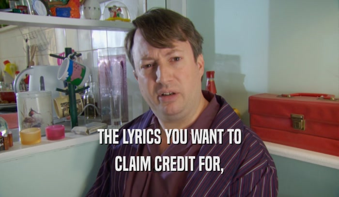 THE LYRICS YOU WANT TO CLAIM CREDIT FOR, 