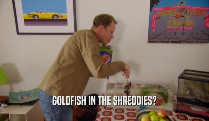 GOLDFISH IN THE SHREDDIES?  
