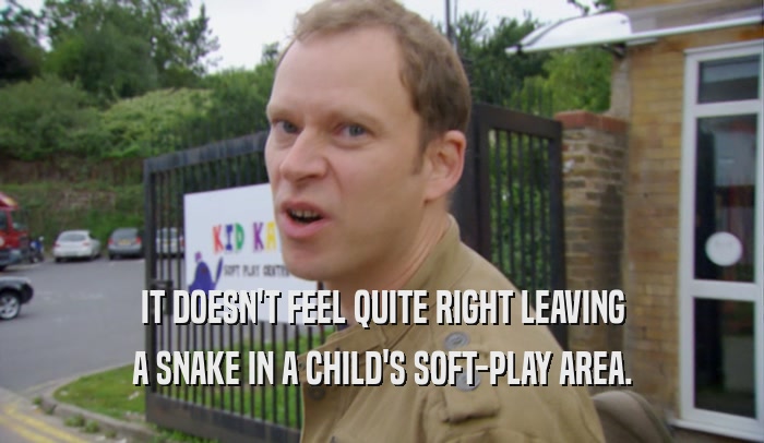IT DOESN'T FEEL QUITE RIGHT LEAVING
 A SNAKE IN A CHILD'S SOFT-PLAY AREA.
 