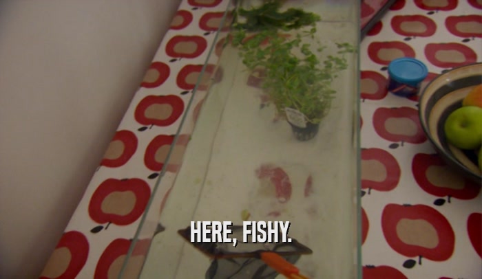 HERE, FISHY.  