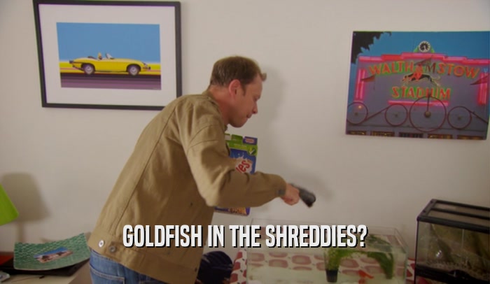 GOLDFISH IN THE SHREDDIES?  