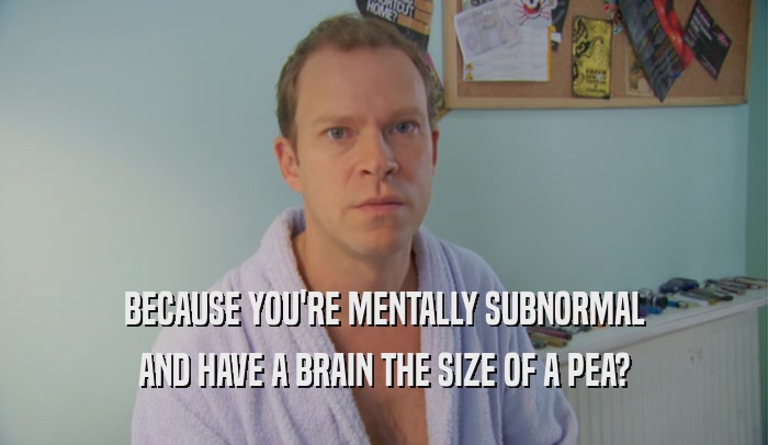 BECAUSE YOU'RE MENTALLY SUBNORMAL AND HAVE A BRAIN THE SIZE OF A PEA? 