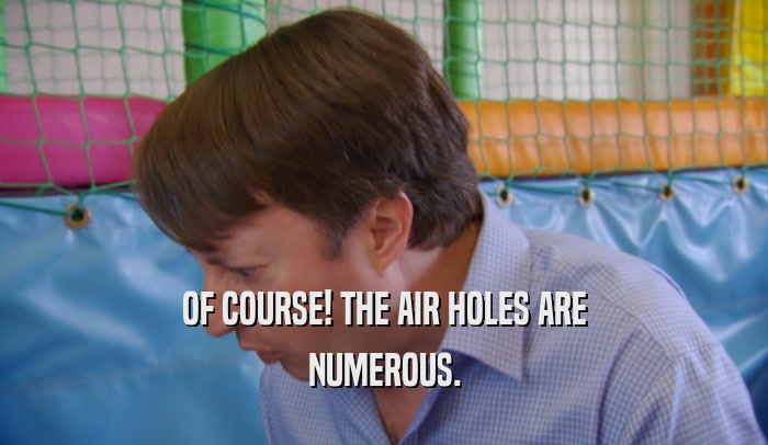 OF COURSE! THE AIR HOLES ARE NUMEROUS. 