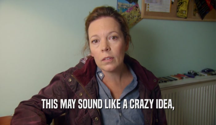 THIS MAY SOUND LIKE A CRAZY IDEA,  