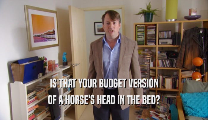 IS THAT YOUR BUDGET VERSION OF A HORSE'S HEAD IN THE BED? 