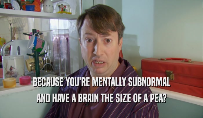 BECAUSE YOU'RE MENTALLY SUBNORMAL AND HAVE A BRAIN THE SIZE OF A PEA? 