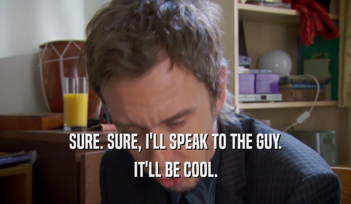 SURE. SURE, I'LL SPEAK TO THE GUY. IT'LL BE COOL. 