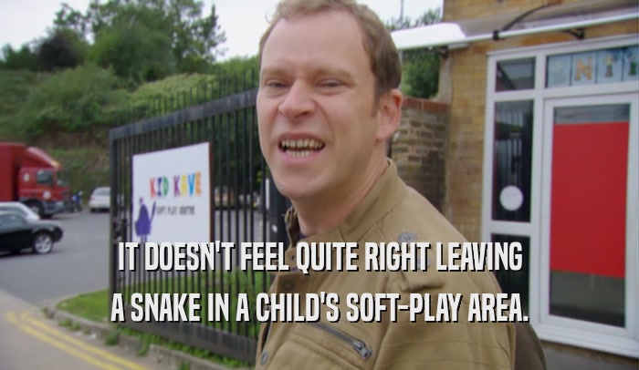 IT DOESN'T FEEL QUITE RIGHT LEAVING A SNAKE IN A CHILD'S SOFT-PLAY AREA. 