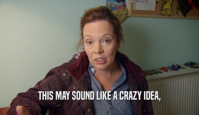 THIS MAY SOUND LIKE A CRAZY IDEA,  