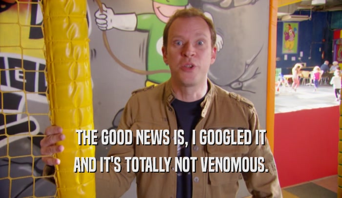 THE GOOD NEWS IS, I GOOGLED IT AND IT'S TOTALLY NOT VENOMOUS. 