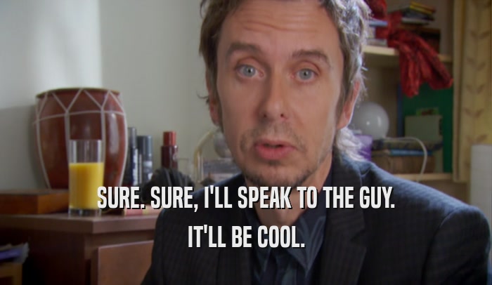 SURE. SURE, I'LL SPEAK TO THE GUY. IT'LL BE COOL. 