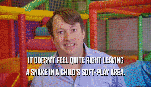 IT DOESN'T FEEL QUITE RIGHT LEAVING A SNAKE IN A CHILD'S SOFT-PLAY AREA. 