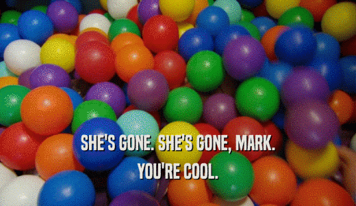 SHE'S GONE. SHE'S GONE, MARK. YOU'RE COOL. 