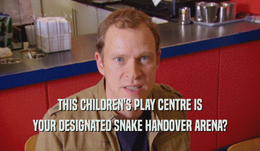 THIS CHILDREN'S PLAY CENTRE IS YOUR DESIGNATED SNAKE HANDOVER ARENA? 