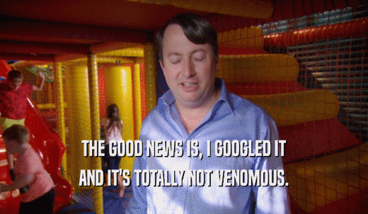 THE GOOD NEWS IS, I GOOGLED IT AND IT'S TOTALLY NOT VENOMOUS. 