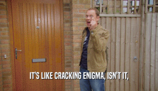 IT'S LIKE CRACKING ENIGMA, ISN'T IT,  