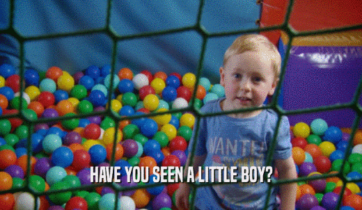 HAVE YOU SEEN A LITTLE BOY?  