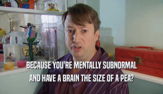 BECAUSE YOU'RE MENTALLY SUBNORMAL AND HAVE A BRAIN THE SIZE OF A PEA? 