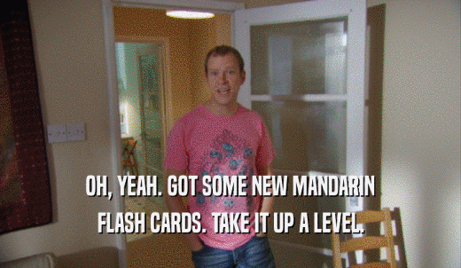 OH, YEAH. GOT SOME NEW MANDARIN FLASH CARDS. TAKE IT UP A LEVEL. 