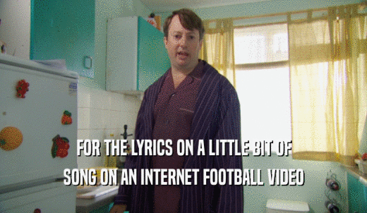 FOR THE LYRICS ON A LITTLE BIT OF SONG ON AN INTERNET FOOTBALL VIDEO 
