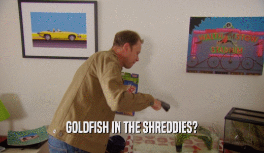 GOLDFISH IN THE SHREDDIES?  