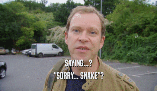 SAYING...? 'SORRY... SNAKE'? 