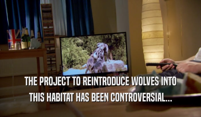 THE PROJECT TO REINTRODUCE WOLVES INTO THIS HABITAT HAS BEEN CONTROVERSIAL... 