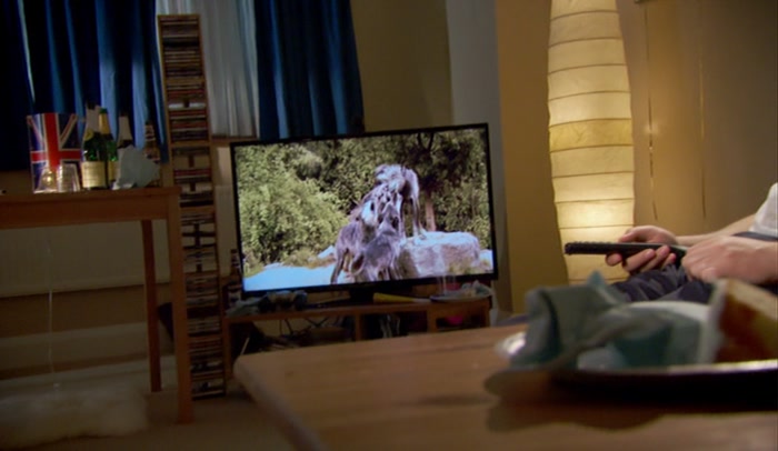 THE PROJECT TO REINTRODUCE WOLVES INTO THIS HABITAT HAS BEEN CONTROVERSIAL... 