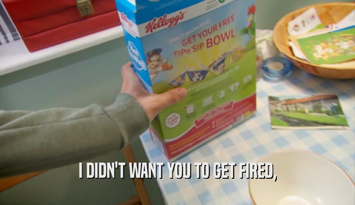 I DIDN'T WANT YOU TO GET FIRED,  
