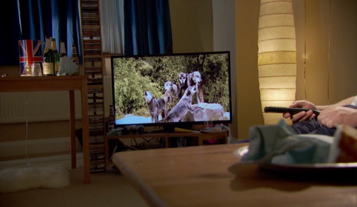 THE PROJECT TO REINTRODUCE WOLVES INTO THIS HABITAT HAS BEEN CONTROVERSIAL... 