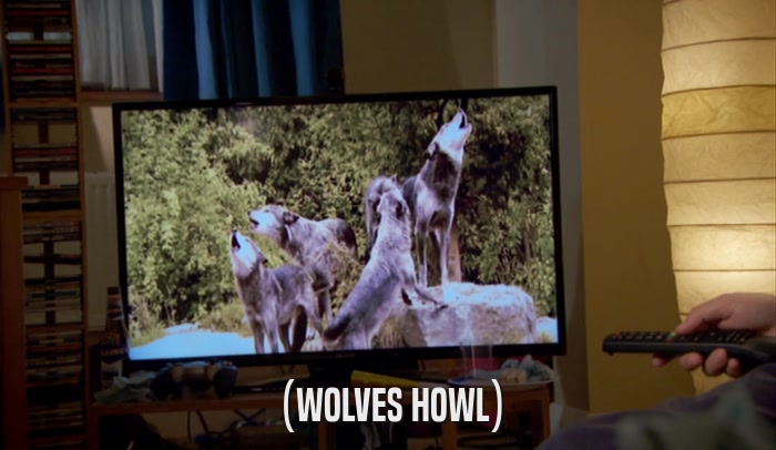 (WOLVES HOWL)  
