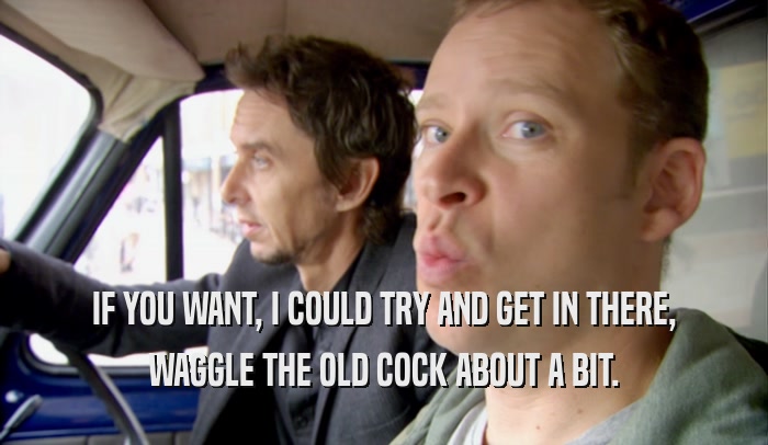 IF YOU WANT, I COULD TRY AND GET IN THERE, WAGGLE THE OLD COCK ABOUT A BIT. 