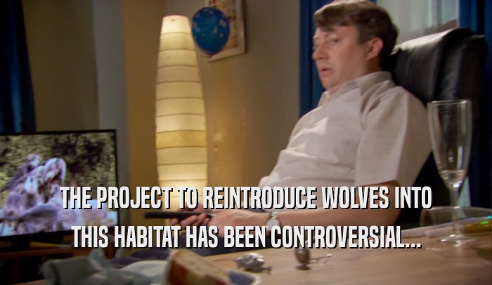 THE PROJECT TO REINTRODUCE WOLVES INTO THIS HABITAT HAS BEEN CONTROVERSIAL... 