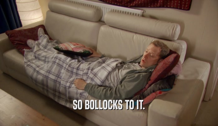SO BOLLOCKS TO IT.  