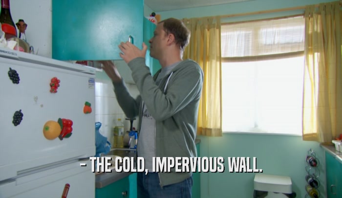 - THE COLD, IMPERVIOUS WALL.  