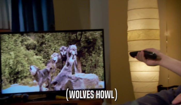 (WOLVES HOWL)  